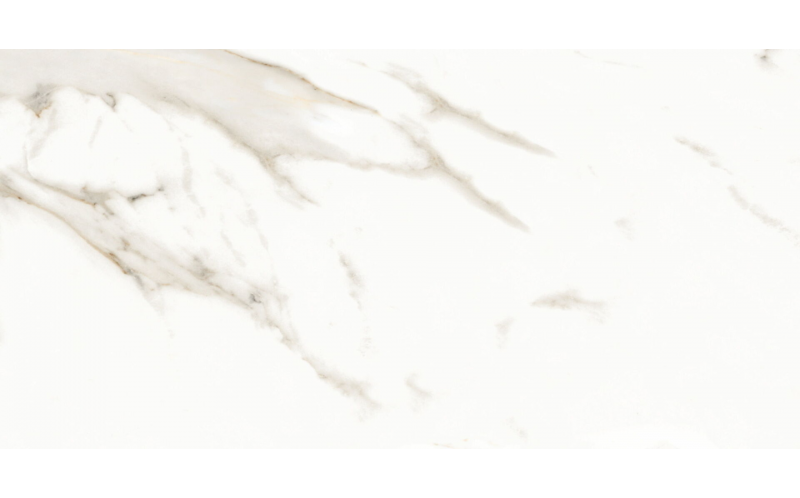 Керамогранит Splendida Marmol Carrara Polished (N12028) 60x120