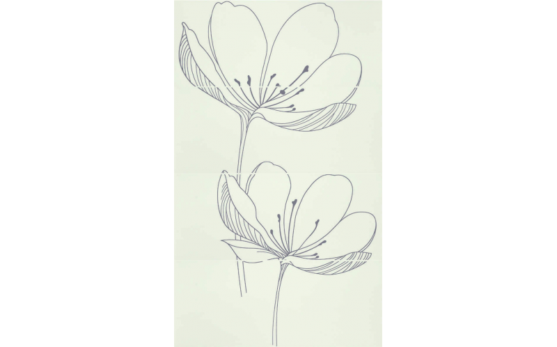 255D0RE DREAM B PLUME