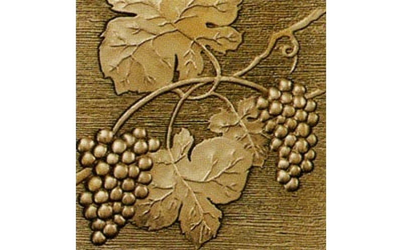 ioja Centro-3 Bronce