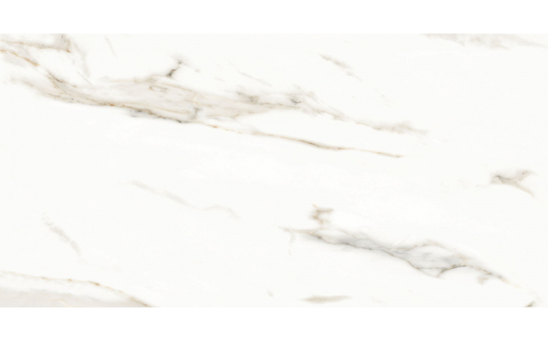 Керамогранит Splendida Marmol Carrara Polished (N12028) 60x120