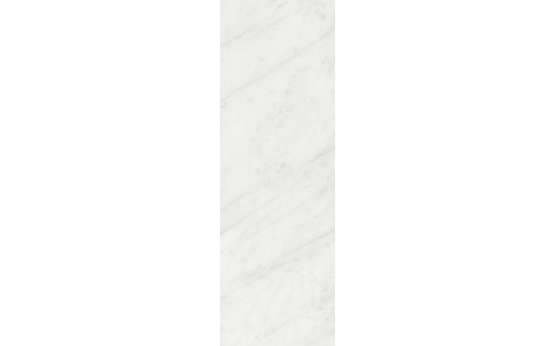 Настенная плитка Борсари 12103R Белый Обрезной 25x75