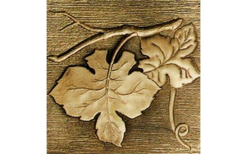 ioja Centro-2 Bronce