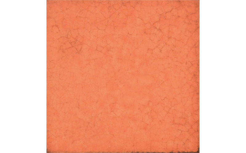 Maiolica Arancio 20*20