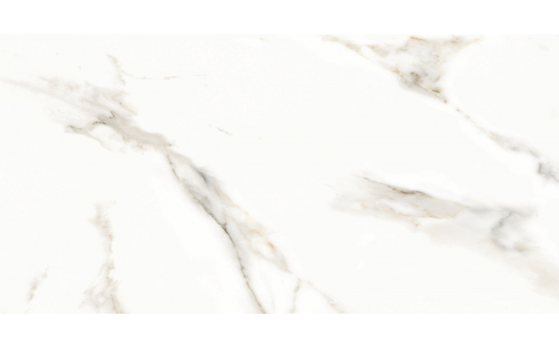 Керамогранит Splendida Marmol Carrara Polished (N12028) 60x120