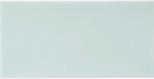 Настенная плитка Adex Liso Fern (ADST1052) 7,3x14,8