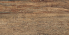 Керамогранит Brigantina Oak BG01 неполированный 19.4x120