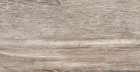 Керамогранит Brigantina Aged Oak BG03 неполированный 19.4x120
