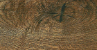 Настенная Плитка Aracena Odum 15X45