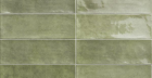 Настенная плитка Cinque Terre Emerald 10x30