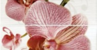 Панно Fiori Орхидея (377087) 40X100