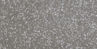 Настенная плитка Marvel Terrazzo Grey (9MTG) 40x80