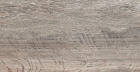Керамогранит Brigantina Aged Oak BG03 неполированный 19.4x120