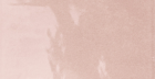 Керамогранит Berlin Flamingo Glossy (188045) 14,7X14,7