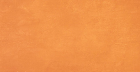 Настенная плитка Ewall Orange (8E4G) 40x80