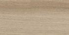 Керамогранит Artwood Nut AW03 неполированный 19.4x120