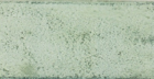 Настенная плитка Arles Forest 10x30
