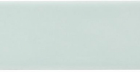 Настенная плитка Adex Liso Fern (ADST1055) 4,9x19,8