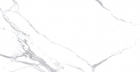Керамогранит Ceradim Calacatta Splendid Silver Белый Матовый 60x120 (х9999304481)