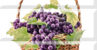 Comp.grapes 03 A