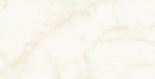 Настенная плитка Marvel Shine Calacatta Delicato Silk (A4TT) 50x120