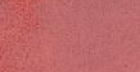 Настенная плитка Каталунья 32014R Розовый Обрезной 15x90