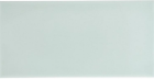 Настенная плитка Adex Liso Fern (ADST1053) 9,8x19,8