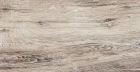 Керамогранит Brigantina Aged Oak BG03 неполированный 19.4x120