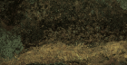 Керамогранит Bengala Gris 62x120