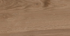Керамогранит Artwood Oak AW02 неполированный 19.4x120