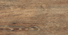 Керамогранит Brigantina Oak BG01 неполированный 19.4x120