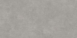 Керамогранит Newcon Серебристо-Серый Матовый R10A (K945778R0001VTE0) 60x120