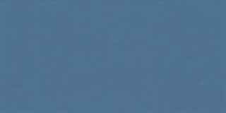 Настенная плитка Wide&Style Mini Whale Ret (PF60008234) 60x120
