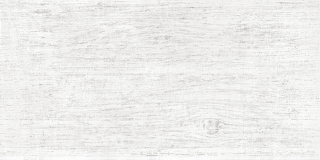 Настенная Плитка Wood White (Wt9Wod00) 24,9X50