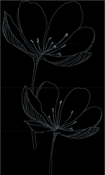 255D9RE DREAM B BLACK