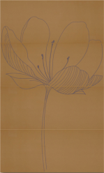 255D4RD DREAM A KAKI