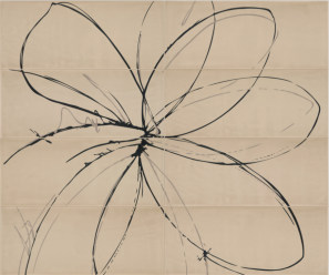 653E3RF Fiore Natural Sugar