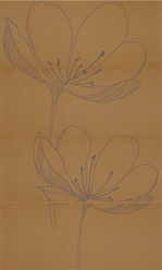 255D4RE DREAM B KAKI