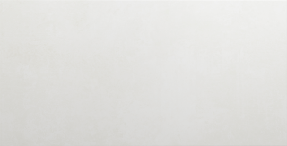 Настенная Плитка Antre White (Wt9Anr00) 24,9X50