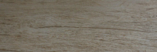 ECOWOOD GOLD 15x45.5