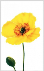 Декор Цветок Желтый (340031) 25X40