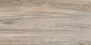 Настенная Плитка Dublin (Twu09Dbl404	) 24,9X50