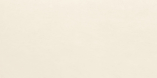 Керамогранит Design Cement (SP.EXP.BD.NT) 3,5 мм 100x300