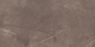 Керамогранит Stone Marble Brown (SMG.JW.ET.LC) 6 мм 120x278