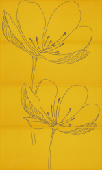 255D3RE DREAM B YELLOW