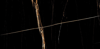 Керамогранит Sahara Black Черный Глянцевый 60X120