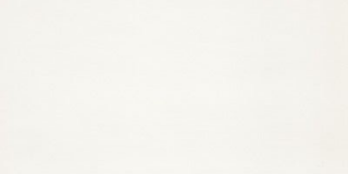 Керамогранит Color (CAR.ID.BN.SF) 6 мм 150x300