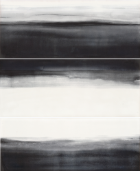 653E9RH Acqua Black Poison