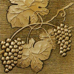 ioja Centro-3 Bronce