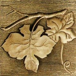 ioja Centro-2 Bronce